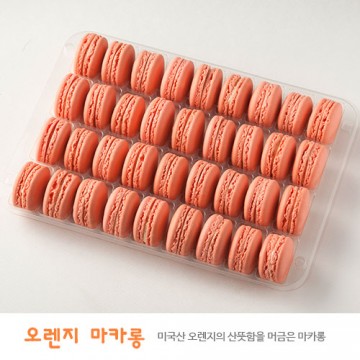 이미지 상세보기
