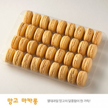 이미지 상세보기