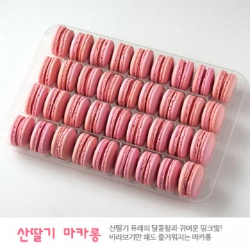 이미지 상세보기